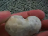 phphijLhDPM.webp