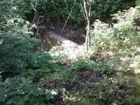 drain under tracks.webp