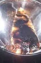 TEXArrowHead01.jpg 007.webp