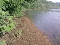 muddy bank.webp