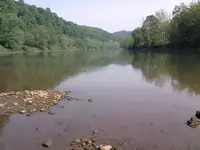 downriver view.webp