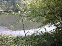 end of shallows.webp