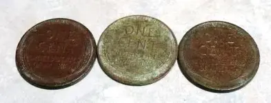 treasure (More!) 2009 005comp.webp