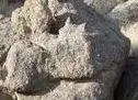 heart and flat rock[1].webp