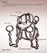 ring bit.webp