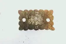 ornate brass tag front 1.webp