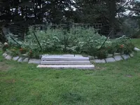 garden aug 2009 002.webp