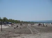 beach 008.webp