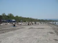 beach 014.webp