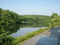 NewJerseyTrip 013.webp NewJerseyTrip 013.webp