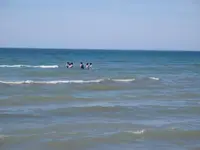 beach 022.webp