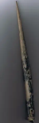 lightning rod.webp