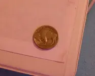 coin3.webp