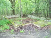 103_0153.webp