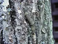 DSC00082.webp