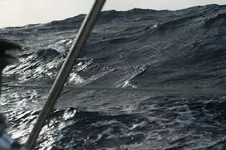 Waves.webp