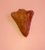 arrowhead.webp