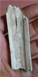 bone beamer2b.webp