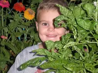 Max  Garden.webp