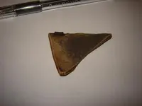 sherd2.webp