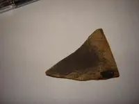 sherd3.webp