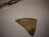 sherd4.webp