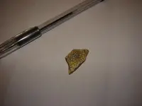 sherd9.webp