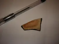 sherd10.webp