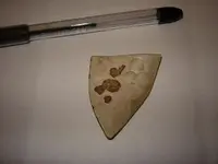 sherd12.webp