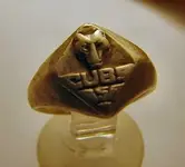 cubs.webp