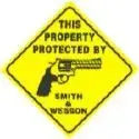 gun 2.webp