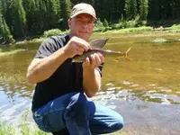 grayling.webp