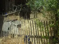 DSCN5014.webp