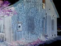DSCN5011.webp