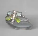 ring3.webp