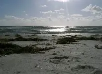 Sand Standard e-mail view.webp