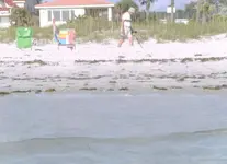 Beach hunter1 Standard e-mail view.webp