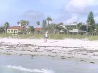 Beach hunter Standard e-mail view.webp