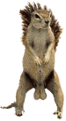 123.gif