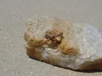 quartz vein with crystals.webp