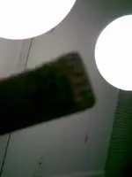odd find 6.webp
