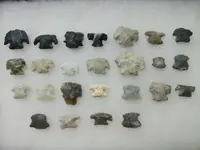 hafted scrapers.webp