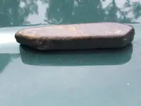 DSCF0483.webp