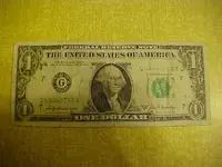 yellow back 1.webp