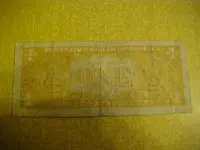 yellow back 2.webp