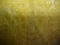 yellow back 3.webp