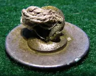 1750buttoncloseup.webp
