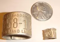 Band small.webp