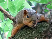 u lookin at me.webp