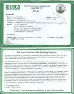 Certificate small.webp